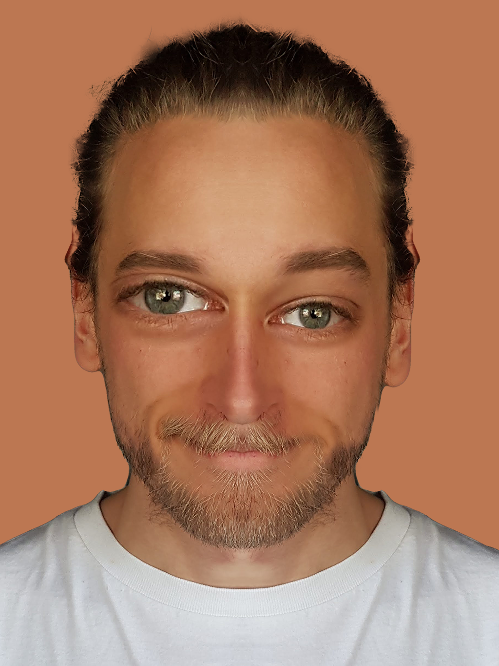 Portrait of Balduin